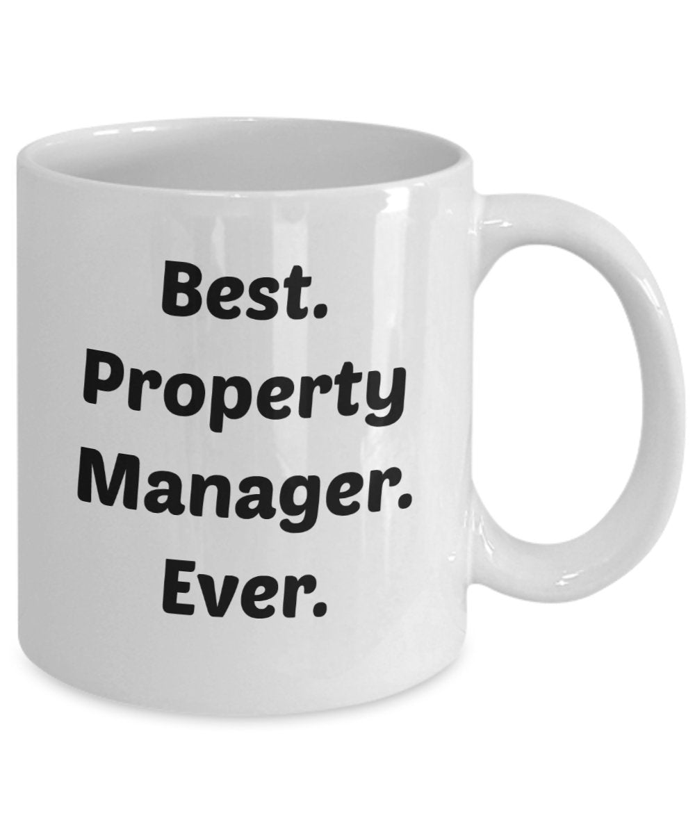 Property Manager Mug - Funny Tea Hot Cocoa Coffee Cup - Novelty Birthday Christmas Anniversary Gag Gifts Idea