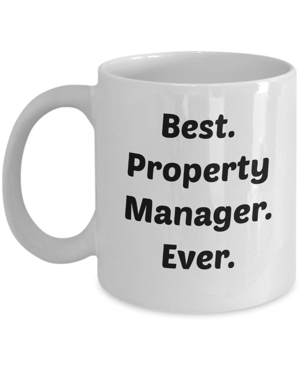 Property Manager Mug - Funny Tea Hot Cocoa Coffee Cup - Novelty Birthday Christmas Anniversary Gag Gifts Idea