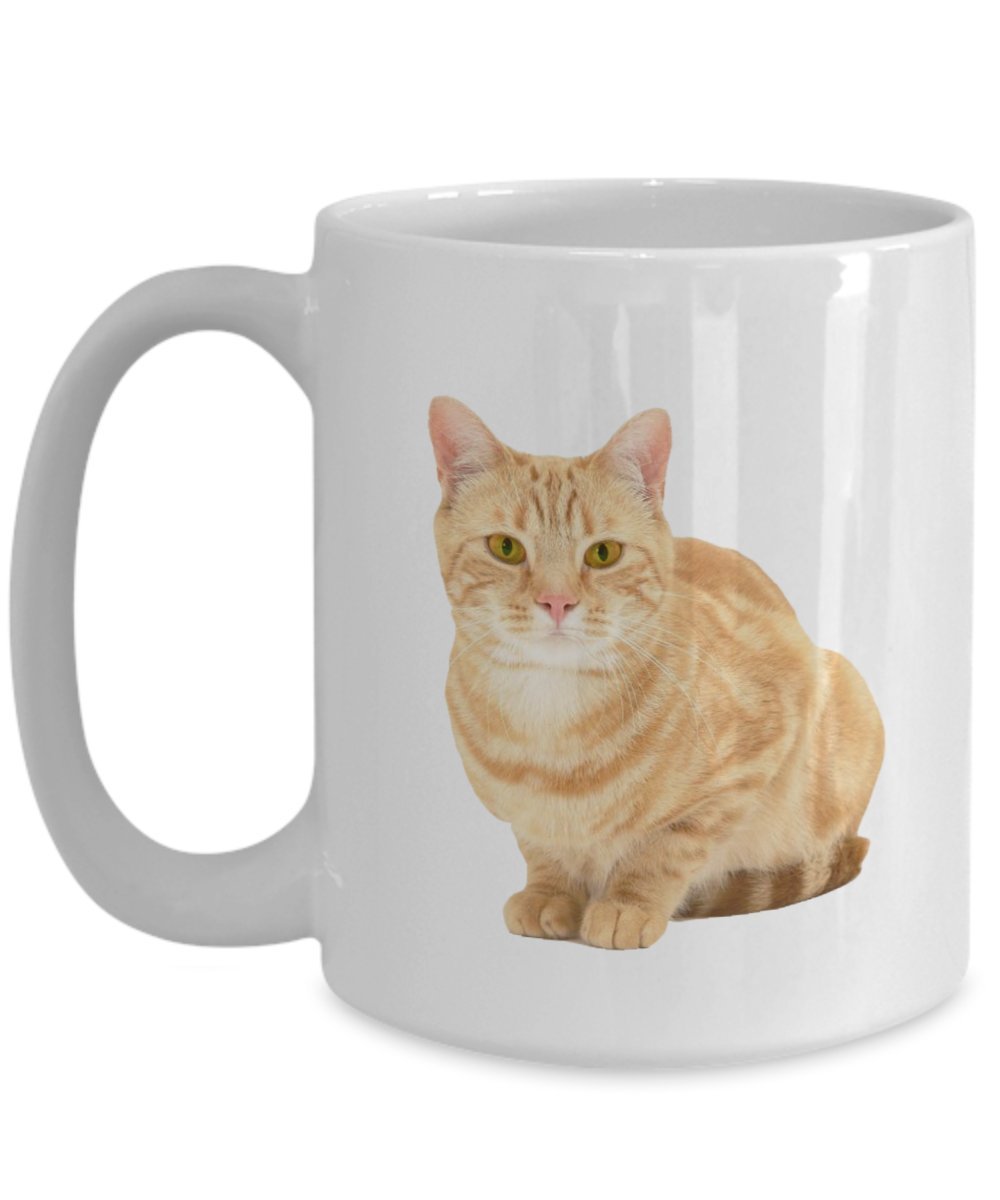 Orange Tabby Cat Mug - Orange Tabby Cat Coffee Mug - Funny Tea Hot Cocoa Cup - Novelty Birthday Christmas Anniversary Gag Gifts Idea
