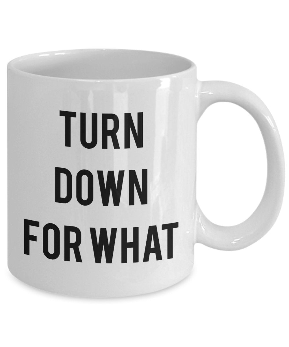 Turn Down For what Mug - Funny Tea Hot Cocoa Coffee Cup - Novelty Birthday Gift Idea
