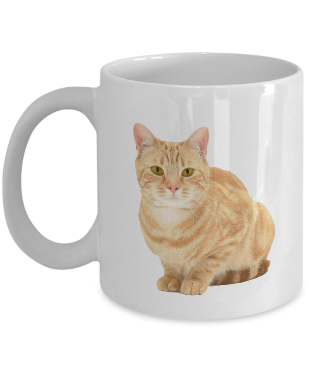 Orange Tabby Cat Mug - Orange Tabby Cat Coffee Mug - Funny Tea Hot Cocoa Cup - Novelty Birthday Christmas Anniversary Gag Gifts Idea
