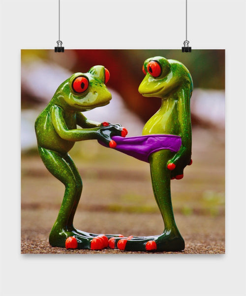 Sexual Funny Gifts - Frog Poster - Unique Gifts Idea - Frog Lover Gifts (14x14)