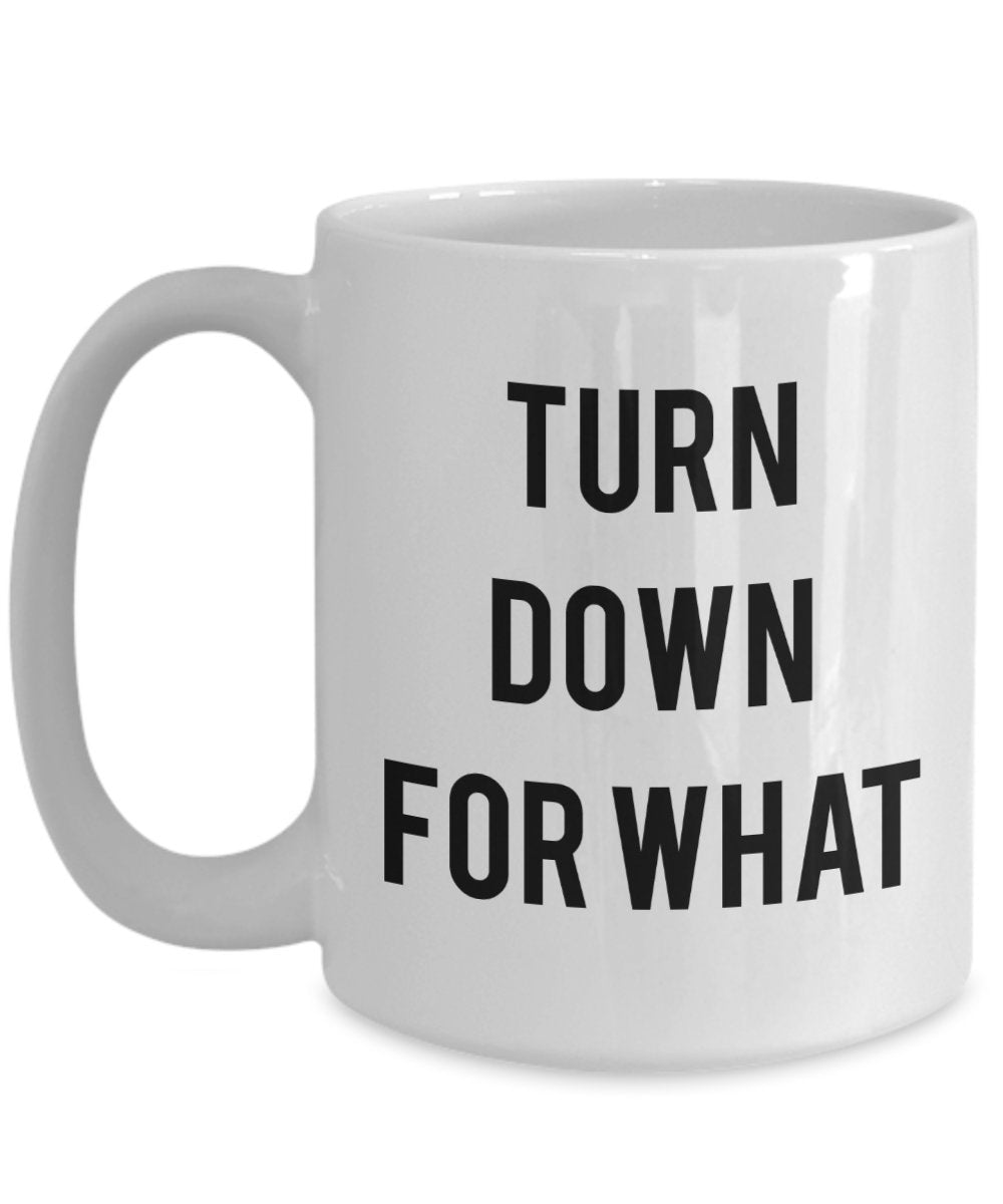 Turn Down For what Mug - Funny Tea Hot Cocoa Coffee Cup - Novelty Birthday Gift Idea