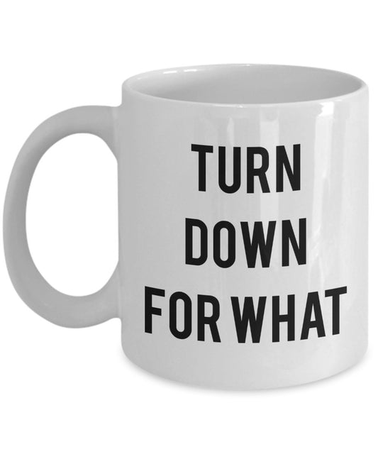 Turn Down For what Mug - Funny Tea Hot Cocoa Coffee Cup - Novelty Birthday Gift Idea