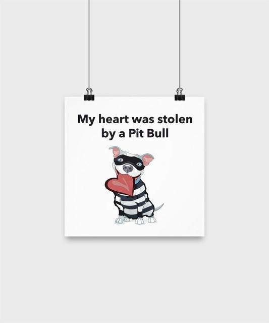DogsMakeMeHappy Funny Pit Bull Poster - My Heart Was Stolen By A Pit Bull Poster - Pit Bull Lover Gifts - Pit Bull Items (12x12)