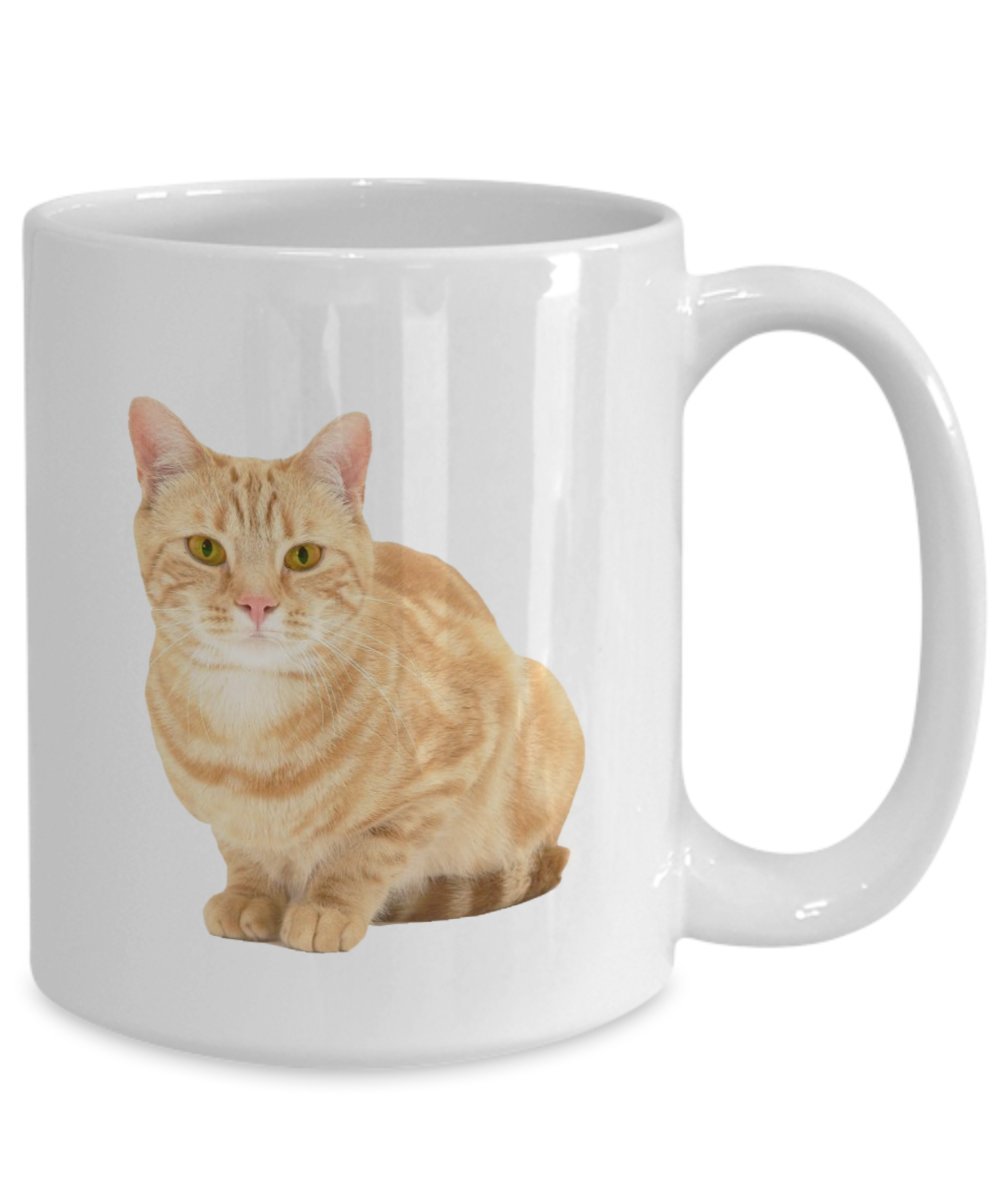 Orange Tabby Cat Mug - Orange Tabby Cat Coffee Mug - Funny Tea Hot Cocoa Cup - Novelty Birthday Christmas Anniversary Gag Gifts Idea