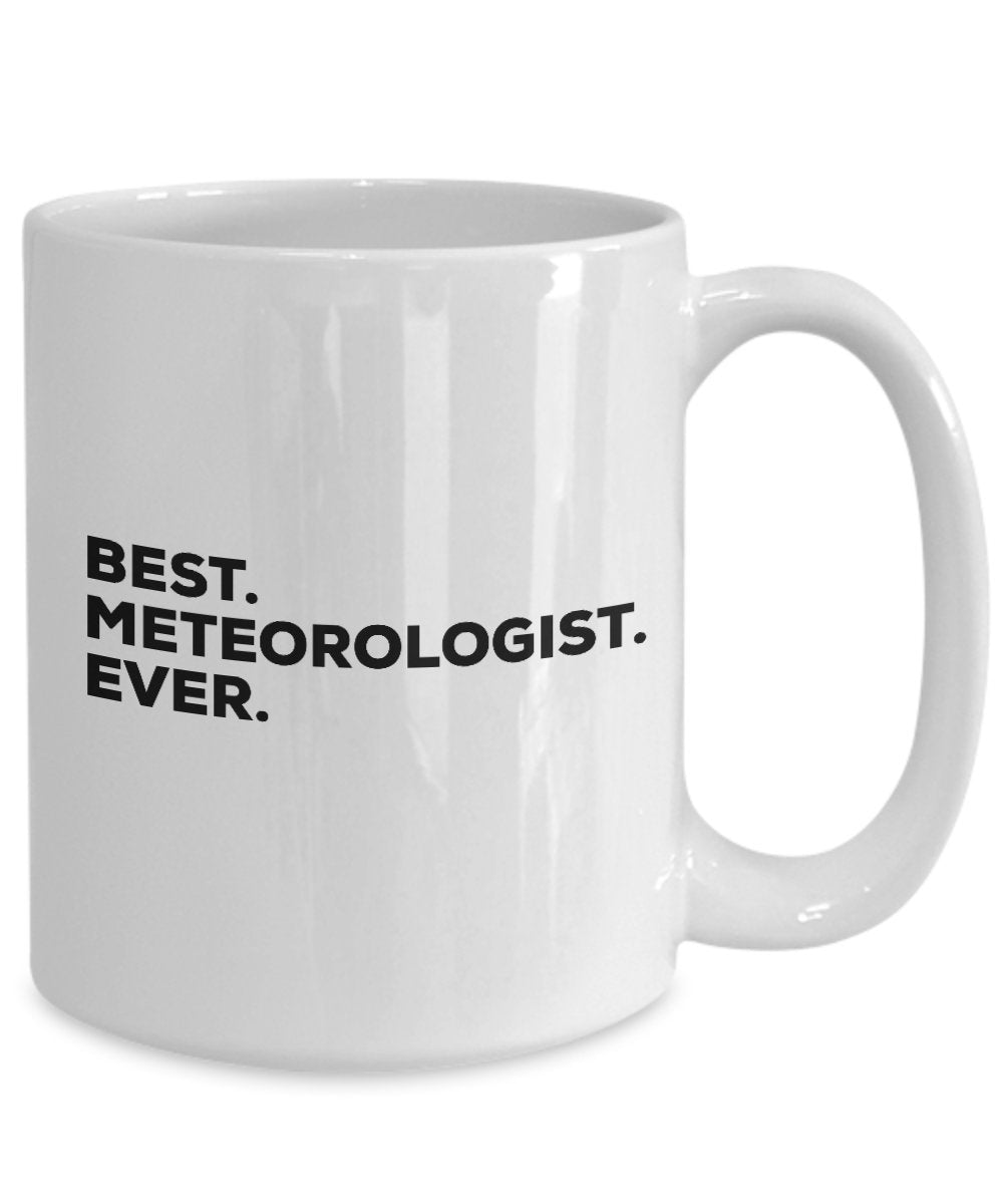 Meteorologist Mug - Best Meteorologist Ever Coffee Cup - Gifts For Kids Men Women - Inexpensive Under $20 Or Add To Gift Bag Basket Box Set - Funny Co
