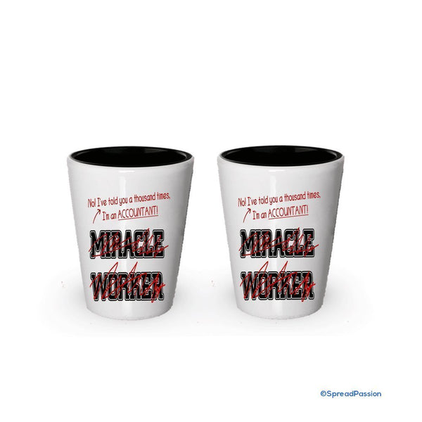 I'm a Accountant Shot Glass, not a Miracle Worker- Funny Gifts for Accountant (6)