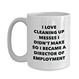 I Became a Director Of Employment Mug - Coffee Cup - Director Of Employment Gifts - Funny Novelty Birthday Present Idea