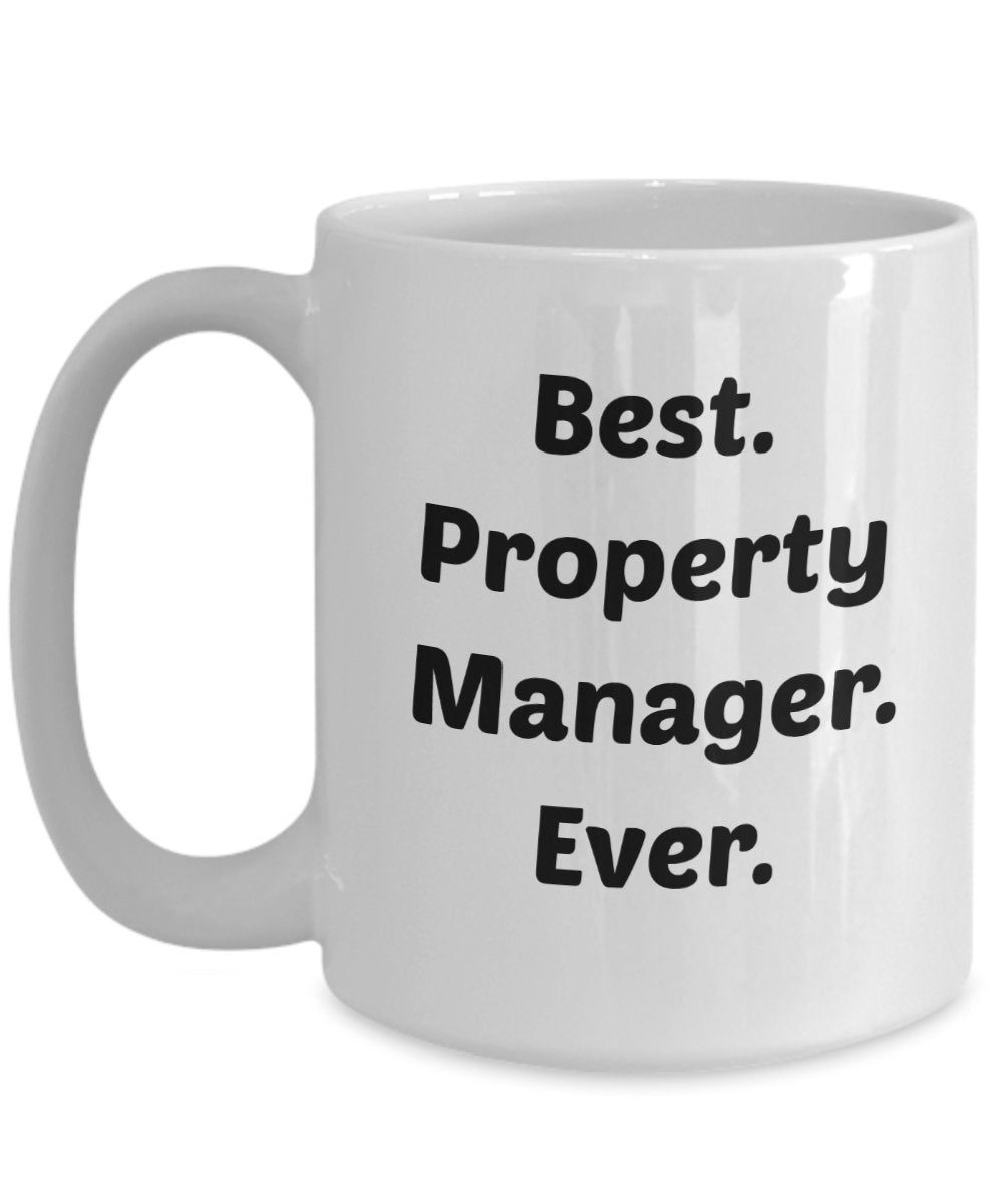 Property Manager Mug - Funny Tea Hot Cocoa Coffee Cup - Novelty Birthday Christmas Anniversary Gag Gifts Idea