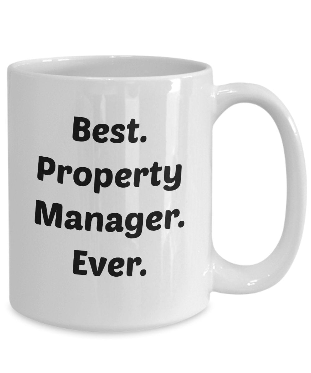 Property Manager Mug - Funny Tea Hot Cocoa Coffee Cup - Novelty Birthday Christmas Anniversary Gag Gifts Idea