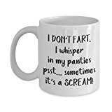 I Dont Fart I Whisper in My Panties Sometimes I Scream Mug - Funny Tea Hot Cocoa Coffee Cup - Novelty Birthday Christmas Gag Gifts Idea