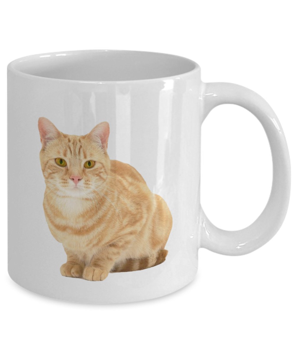 Orange Tabby Cat Mug - Orange Tabby Cat Coffee Mug - Funny Tea Hot Cocoa Cup - Novelty Birthday Christmas Anniversary Gag Gifts Idea